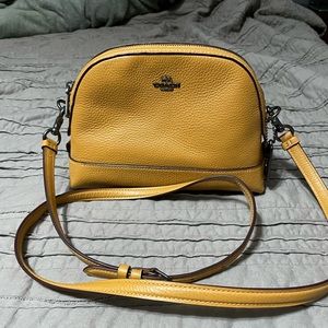 Coach dome crossbody